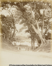作品画像：上野
