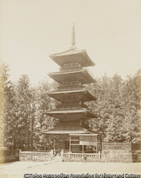 日光