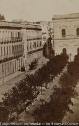 No.115