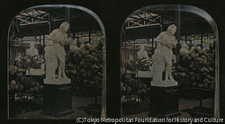 作品画像：クリスタル・パレス