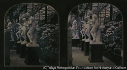 作品画像：クリスタル・パレス