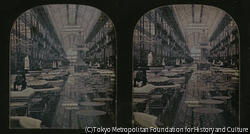 作品画像：クリスタル・パレス