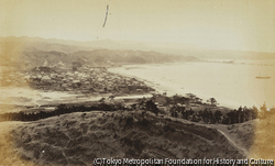 コシモト、大島