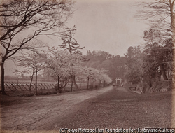 上野公園、東京