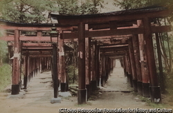 作品画像：（鳥居）