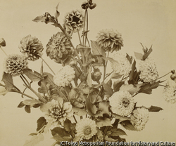 作品画像：（花のある静物）
