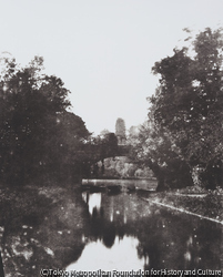 作品画像：橋