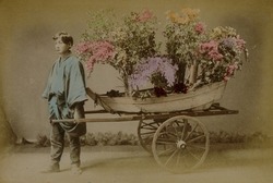 作品画像：（花を積んだリヤカーと男性）