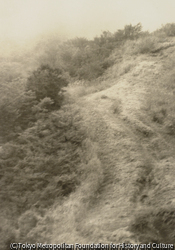作品画像：濛山雨