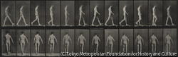 作品画像：機能障害の歩く男性