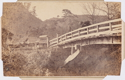 作品画像：（下田、中村橋）