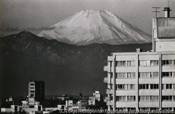 作品画像：東京富士