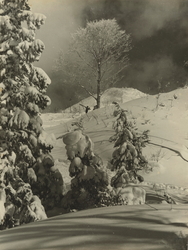 作品画像：(雪山と人)