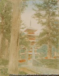 日光東照宮 五重塔と石鳥居