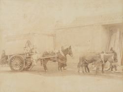 （馬車）(No. 222)