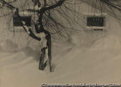 作品画像：（雪景）