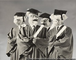 （ブタの学者）