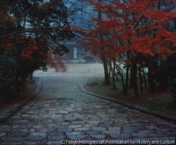 作品画像：東大寺 山内秋色