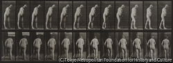 作品画像：下半身不随の杖で歩く男性