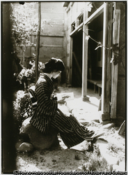 作品画像：晩夏の日差しをさけて写真帖を見る芸者さんの背には、大正時代の余裕が伺える