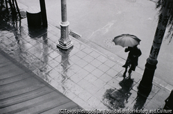 作品画像：（雨の日）