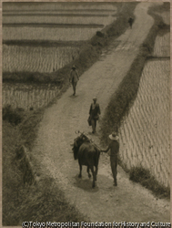 作品画像：途上小景