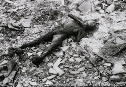 作品画像：長崎被爆写真 A-13-20