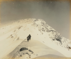 作品画像：(雪山と人)