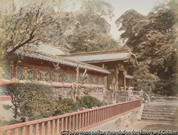 （日光）