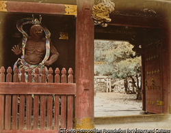 （日光）