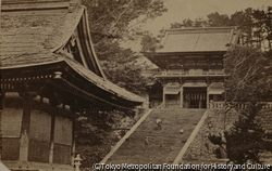 作品画像：（鎌倉 鶴岡八幡宮）