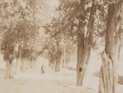 臥仏寺 (No. 110)