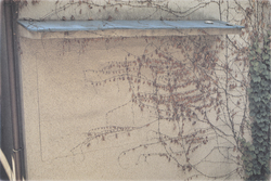 作品画像：No.4 無用の庇窓の夢 東京都港区虎ノ門 1986.5