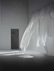 作品画像：curtain 010401
