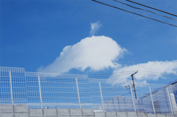 作品画像：