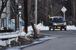 作品画像：道路凍結防止剤として道路にまかれた塩化カルシウムをなめるサル