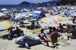 作品画像：海水浴でにぎわう福井県美浜市の海岸