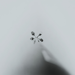 作品画像：Toshiaki