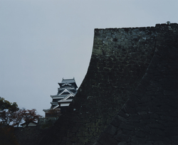 作品画像：