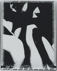 作品画像：