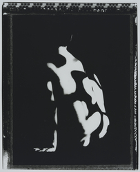 作品画像：