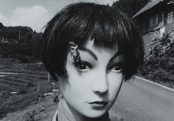 作品画像：案山子に蓑虫
