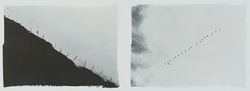 作品画像：橋の影、鳥