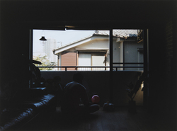 作品画像：camera obscura