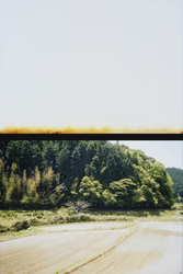 作品画像：