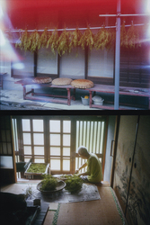 作品画像：