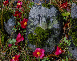 作品画像：苔に包まれた石仏