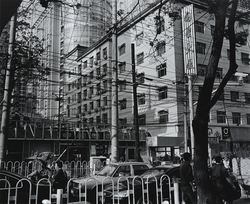 作品画像：