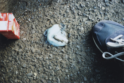 作品画像：Melting Ice Cream, Falling Tears