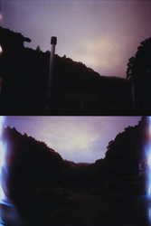 作品画像：